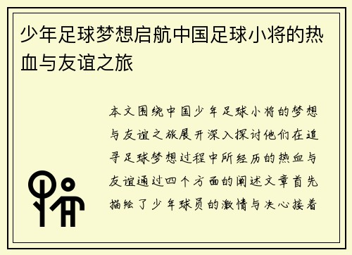 少年足球梦想启航中国足球小将的热血与友谊之旅